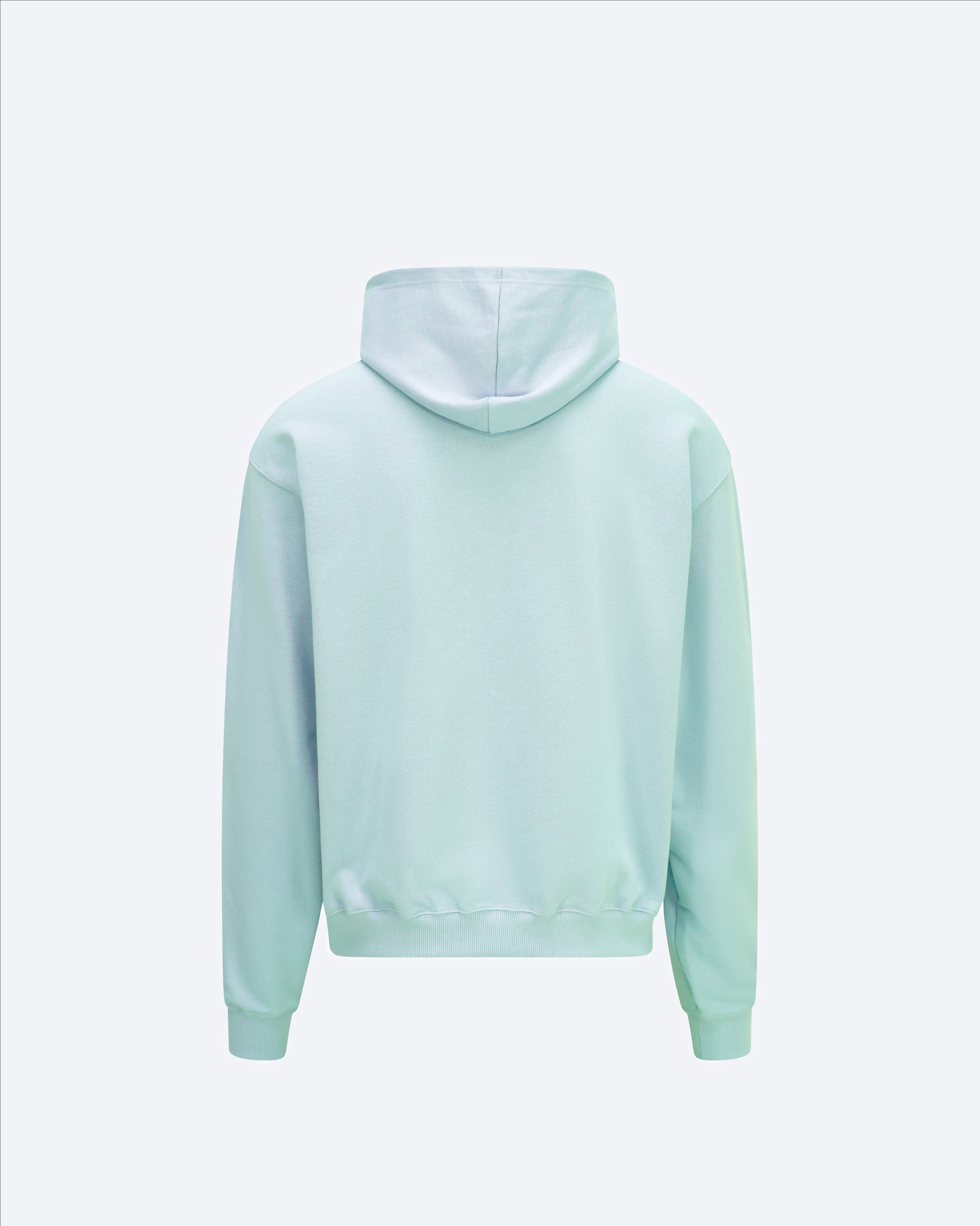 COLDBLUECOREHOODIEBACK.jpg